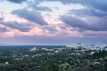Ostuni and plantations of olive trees in Puglia at sunset (Italy)