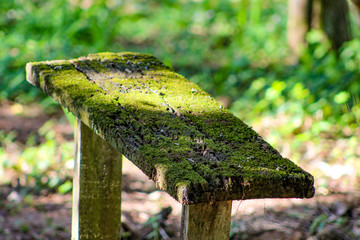 Paisagem da Zona Rural
