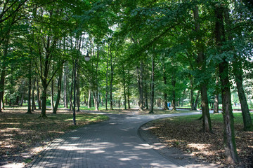 park