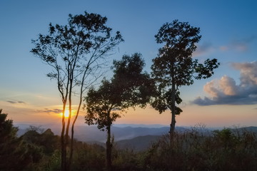 Fototapeta na wymiar Mountain view evening silhouette of the trees with colorful of yellow sun light with blue sky background, sunset at Phu Langka Forest Park, Phayao, northern of Thailand.