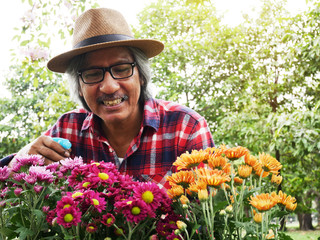 Elderly Farmer man holding flower for planting and Watering flowers in the public park.