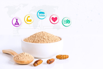 Silkworm Pupae (Bombyx Mori) powder items made of cooked insect meat for eating as food edible and media icon nutrition on white background, it is good source of protein. Entomophagy concept.