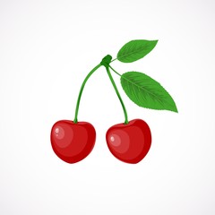 Vector fruit illustration of red sweet cherries with green leaves. Two fresh healthy cherries isolated on white background. Summer fruit in cartoon style. Detailed vegetarian food.