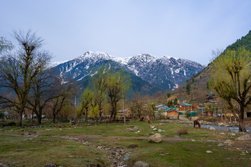 Fototapeta na wymiar Laripora village at Pahalgam district which is recognized as a paradise on earth is the famous place of travel destination when touring in Jammu and Kashmir state India
