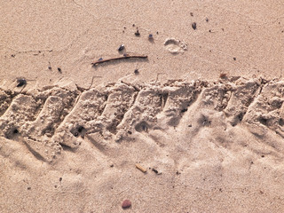 Traces of motorbike on beach.