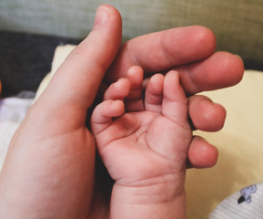 small child's hand, baby's hand close-up