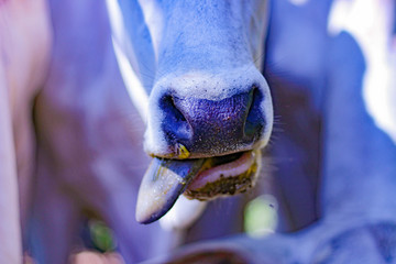 Paisagem da Zona Rural