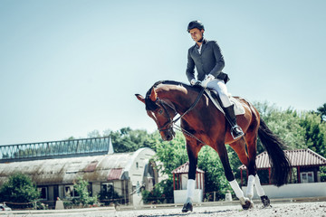 Pleasant skilled man sitting on the horse back