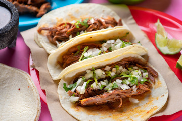 Mexican beef barbacoa tacos on colorful background