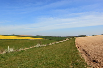 Fototapeta na wymiar Patchwork fields in the beautiful patchwork landscape of the Yorkshire wolds in springtime