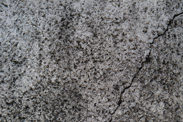 Beautiful closeup textures abstract old wall background and cement floor