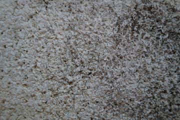 Beautiful closeup textures abstract old wall background and cement floor