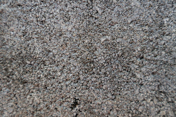 Beautiful closeup textures abstract old wall background and cement floor