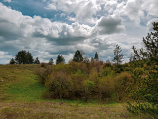 A photograph of wonderful landscape with grassy meadow and forested hills with cloudy sky.
