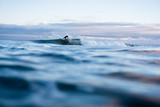 Man surfing in sea