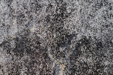 Beautiful closeup textures abstract old wall background and cement floor