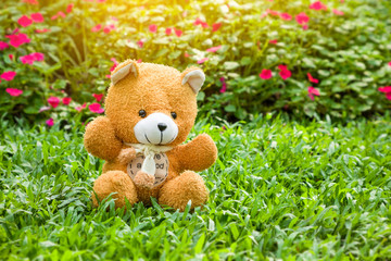 teddy bear with flower