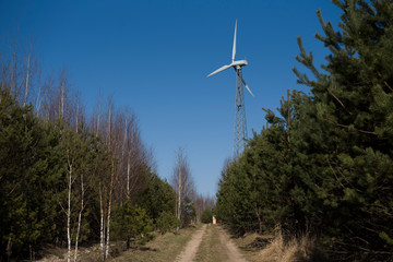 wind turbines in the field