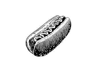 Graphical sketch of hot dog isolated on white, vector illustration ,fast-food
