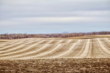 Rolling Harvested Field