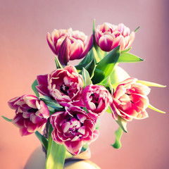 Fresh beautiful pink purple tulip Bouquet on pink background. Easter card. Copy space.