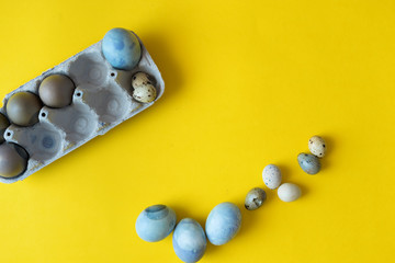 Blue Easter egg on yellow pastel background. Happy Easter concept Organic coloring hibiskus © troyanphoto