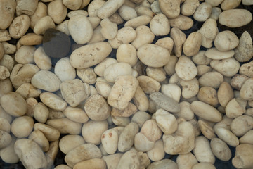 Sea stones background. Beach Rocks in water.