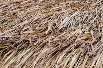 Close up dried hay roof for natural background texture