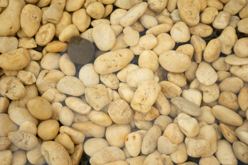 Sea stones background. Beach Rocks in water.