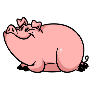 Big fat pig lies resting animal character cartoon illustration isolated image