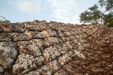Aged sun crack texture with moss and lichen.