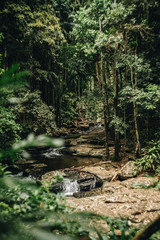 Mount warning, byron bay, Murwillumbah, gold coast, Cabrita, new south wales, nsw, Coolangatta, Snapper rocks, froggies, currumbin, palm beach, Queensland, Australia, Tweed Heads, Kirra,