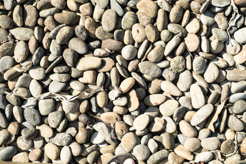 Sea stones background. Beach Rocks in water.