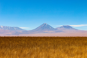 Beautiful region of the Atacama Desert, full of colors, light and so many charms, located in Chile.