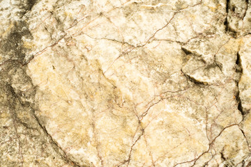 stone texture background. Detail of stone texture for background