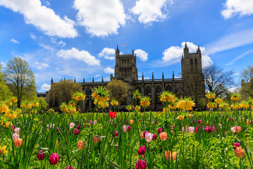 Spring Blooming in front of the Bristol Cathedral. - obrazy, fototapety, plakaty