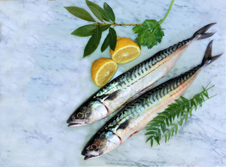 fresh fish with lemon and spices on marble