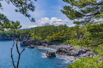 静岡県伊東市　城ヶ崎海岸