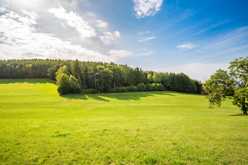 Mountain valley field landscape