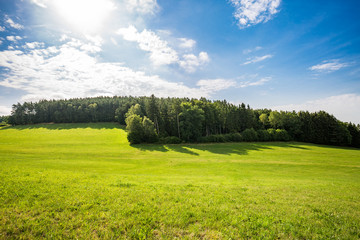 Mountain valley field landscape