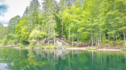 Obraz premium Beautiful reflection of pine tree in a lake