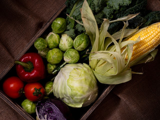 vegetable set with dark background