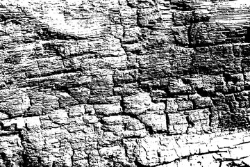 Black and white fire burned wood texture. Wooden surface traced vector background. Weathered natural texture.