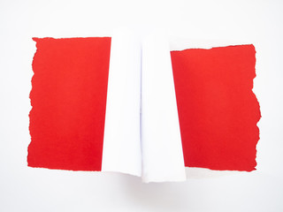 Torn white paper isolated on red