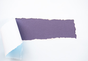 Torn pastel pastel blue paper isolated on purple