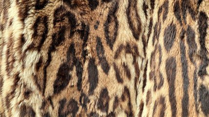 Close-up view of the skin of a leopard.