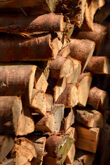 Mid-sized Log Woodpile