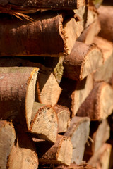 Mid-size Log Woodpile, Close