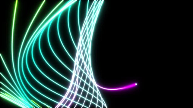 ラインアート_カラー_ループ_1