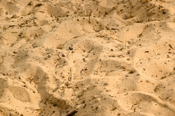Sand and Pebbles background